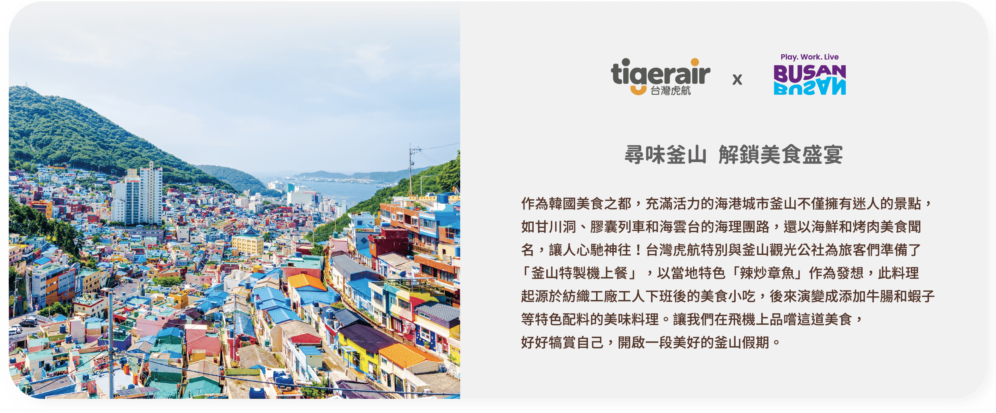 釜山特製機上餐banner
